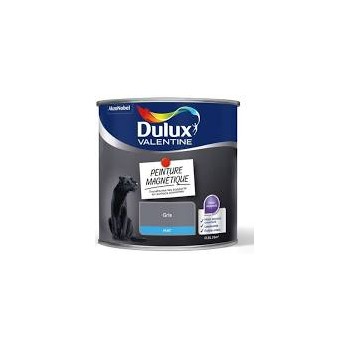 Peinture Magnétique DULUX...