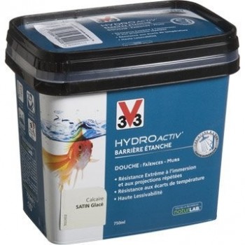 Peinture HYDROactiv' barrière étanche v33 750ml