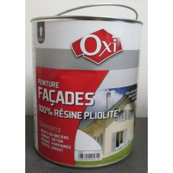 Peinture Façade 100% Résine...