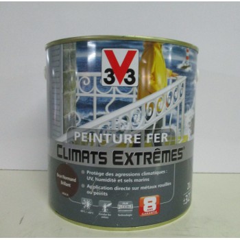 Peinture climats extrêmes fer V33 2L