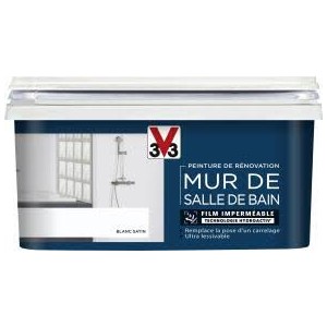 Peinture De Rénovation MUR...