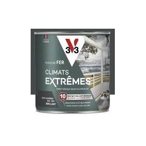 Peinture climats extrêmes...