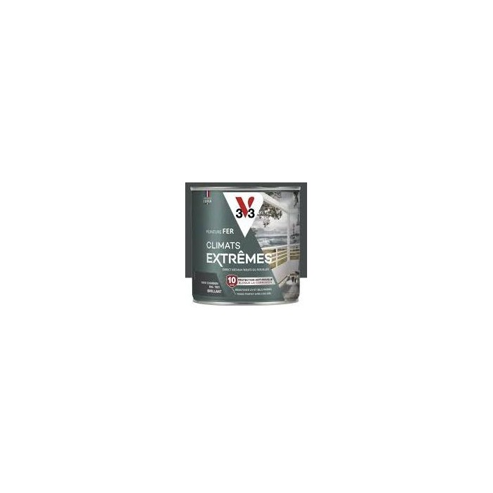 Peinture climats extrêmes fer V33 2L