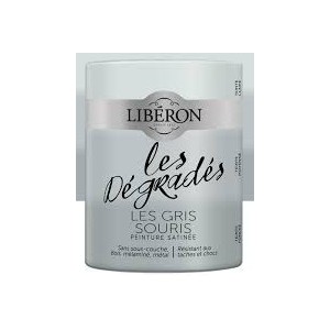 Les Dégradés Peinture...