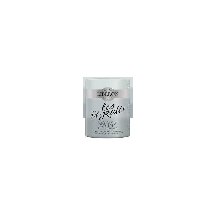 Les Dégradés Peinture Satinée LIBERON 0.6L