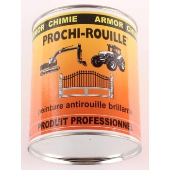 PROCHI-ROUILLE Peinture...