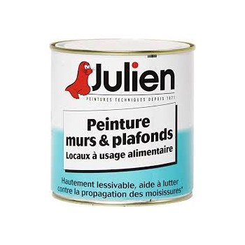 Peinture Murs & Plafonds...
