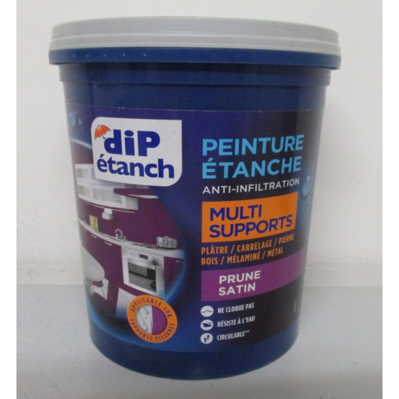 Peinture DIP étanch 0.75L satin à prix bas!